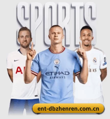 ent-dbzhenren.com.cn围绕看球场景设计的核心服务 - 多运动项目内容板块